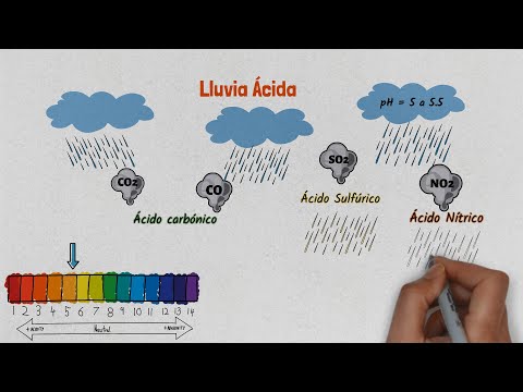 Video: Precipitación ácida: las causas de su formación