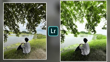 "How to Edit Nature Photo in Lightroom Mobile | Moody Green Tone Editing"