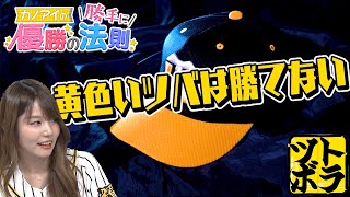 黄色いツバの年は勝てない?? 阪神タイガースにまつわる都市伝説に迫る