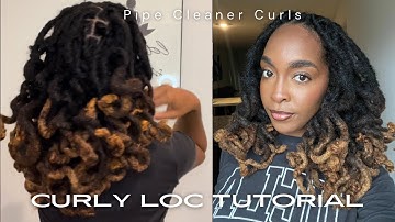 Using Pipe Cleaners to Curl My Thick Locs