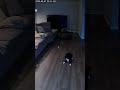 Is this a POLTERGEIST? 👻 #horror #scary #paranormal #poltergeist #foundfootage