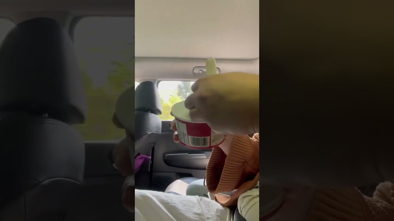 Tim Hortons Ice Cream Double Chocolate Donut 🍦🍫🍩 