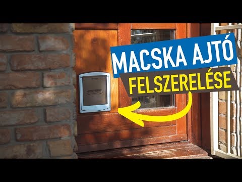 Videó: Macska Pizsama. Előrejelzéseink áldozatairól