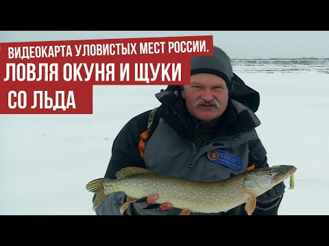 Ловля окуня и щуки со льда \ Видеокарта уловистых мест России.
