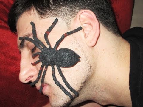 boyfriend-pranked-with-spider---prankvsprank