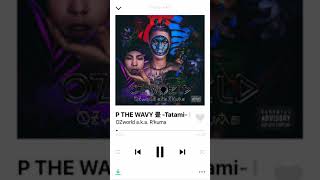 OZworld a.k.a R’kuma /JP THE WAVY. 畳