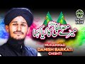 New rabiulawal naat 2020  mere mustafa ka kiya kehna  muhammad danish barkati  official