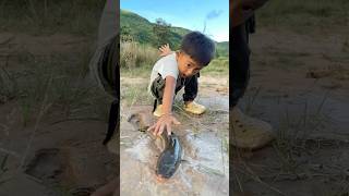 Survival Skillssmart And Idea Save The Fish