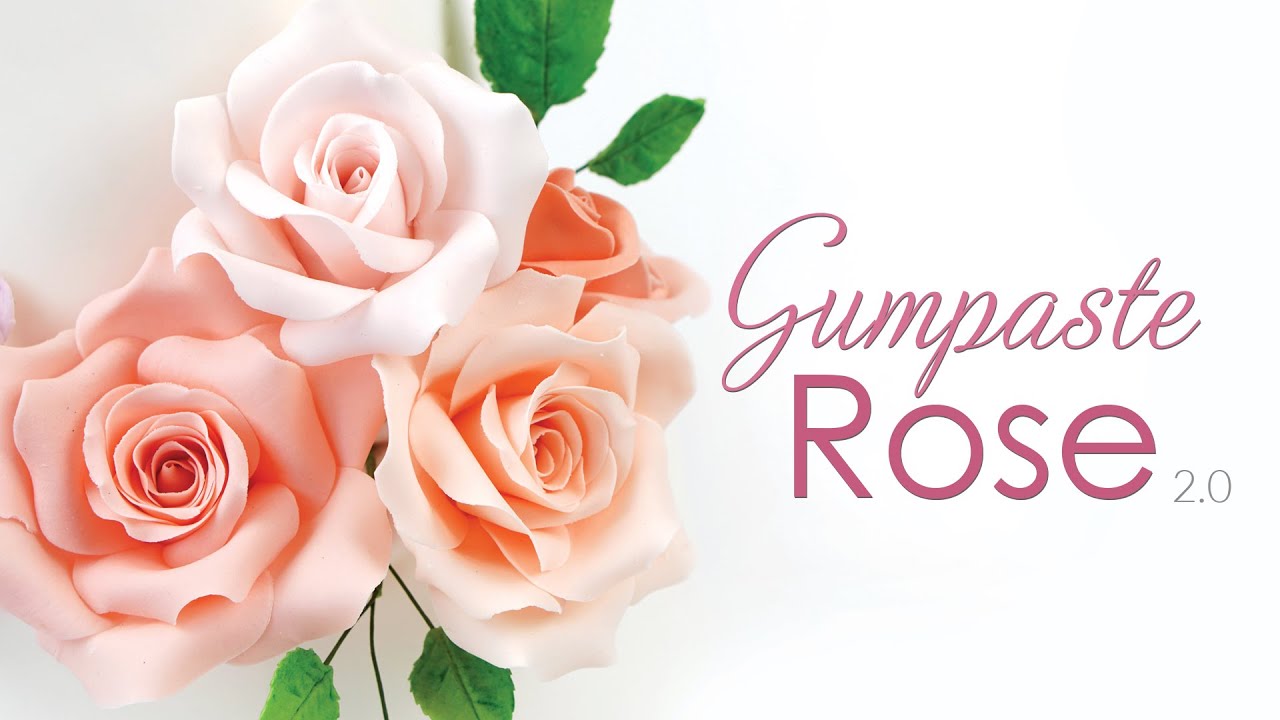 A Guide To The Beautiful Rose Flower » FloraQueen EN