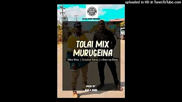 Tolai mix Murugeina 2023  ( Bren Lee Bwoy x Baka Bhee -Starpleaf Bakas