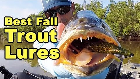 Top 3 Fishing Lures For Big Fall Trout