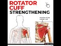 Rotator Cuff Strengthening