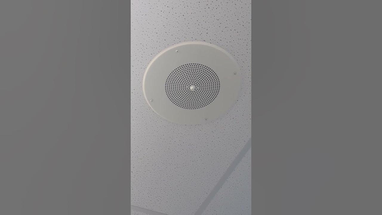 Quam C10 VOL Quam C10 Speakers im Walgreens - YouTube