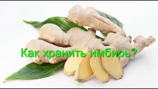 Как хранить имбирь? Как хранить имбирь?