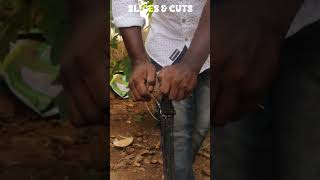 Coconut pealing with simple tool ?✂️?⛏️? shortsvideo youtubeshorts coconut