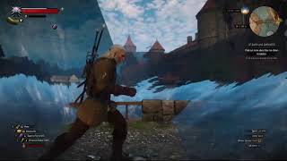 Witcher 3 - Water bug