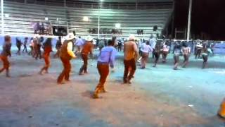 payaso de rodeo pse
