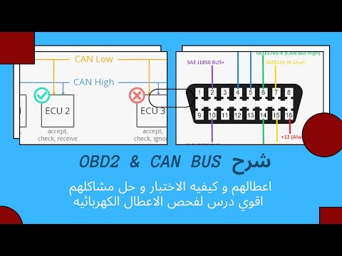 فيديو: هل يمكن لمتطلبات الحافلات الأسلاك؟