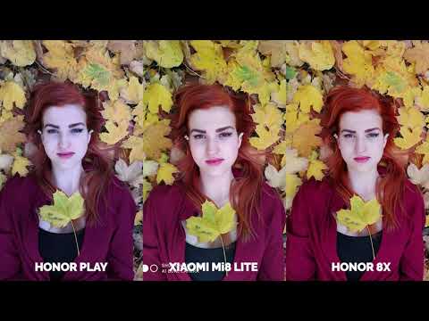 Camera Test - Honor Play vs Xiaomi Mi 8 Lite vs Honor 8x