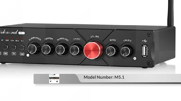 Amp U disk Subwoofer Amplifier 2023