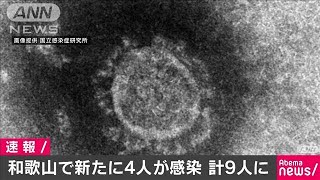 新型コロナ　和歌山県で新たに4人の感染を確認(20/02/17)