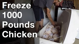Freezing 1000 Pounds of Chicken