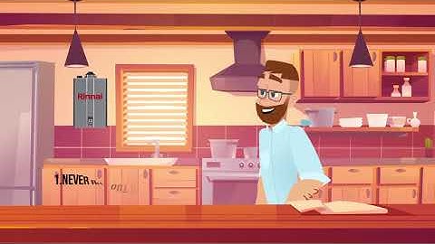 The Energy Savings Rebate Program