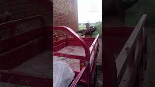 Kashif Bhai Dina While Going To Sell Goats In The Market