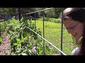 Our FIRST Harvest turned into a Garden Tour.