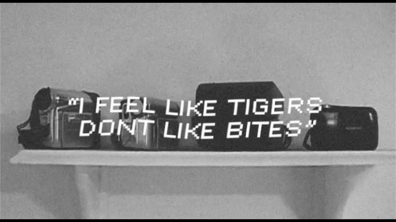 i-feel-like-tigers-dont-like-bites-promo-youtube
