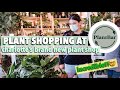 Amazing Pot & Plant Shopping at PlantBar - New Plant Store & Bar - Plant Haul, Charlotte NC