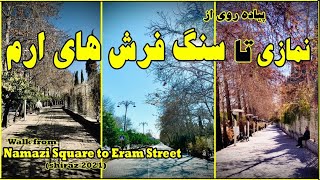 IRAN-FARS-SHIRAZ 2021|walk from Namazi to Eram street|پیاده روی از نمازی تا سنگ فرش های خ ارم
