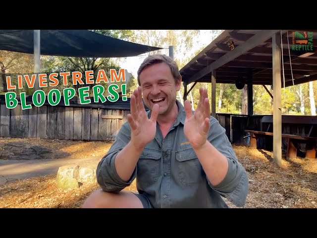 Australian Reptile Park LIVESTREAM BLOOPERS!