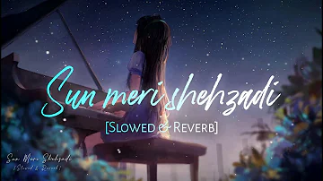 Sun meri shehzadi - Slowed Down & Reverb | Saaton Janam Mein Tere  | Night Song