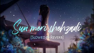 Sun meri shehzadi - Slowed Down & Reverb | Saaton Janam Mein Tere  | Night Song screenshot 3