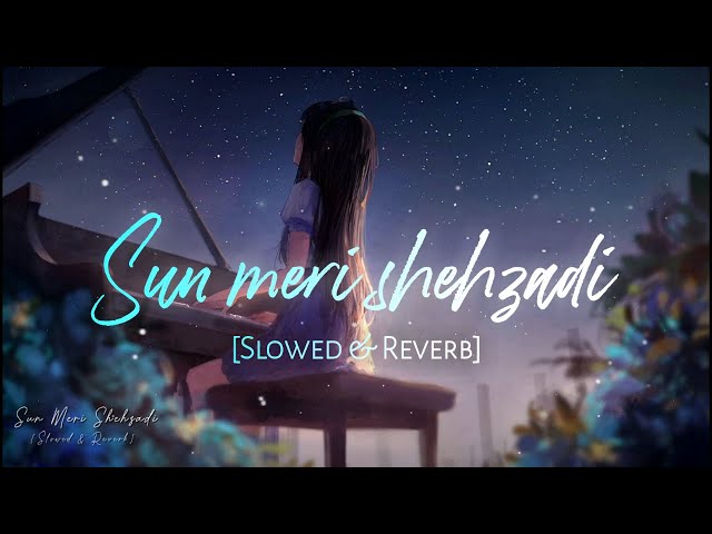 Sun meri shehzadi - Slowed Down u0026 Reverb | Saaton Janam Mein Tere  | Night Song class=