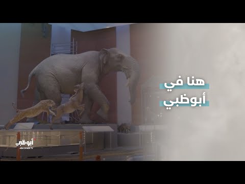 متحف التاريخ الطبيعي أبوظبي