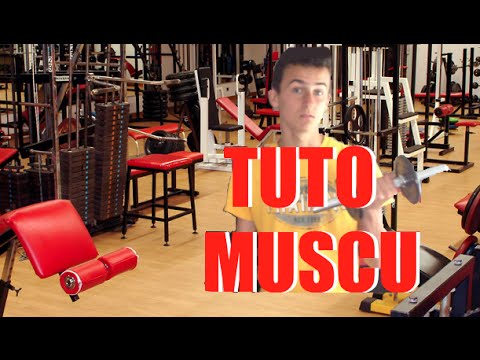 parodie gym 8