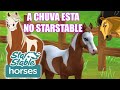 A chuva chegou no starstable parte 1  starstable horses para celular