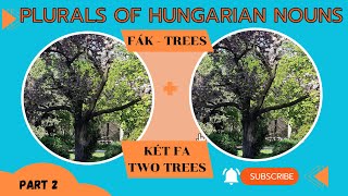 Plural Nouns in Hungarian Part 2