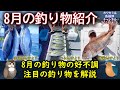 《8月の【釣り物】【船宿】紹介》【お勧め】の【注目】の釣り物を紹介します。【沖釣り】、【船】での釣りに関してです。