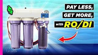 How to Set Up an RO/DI System & Save Money on Water Filtration | The Quest for Perfect Water
