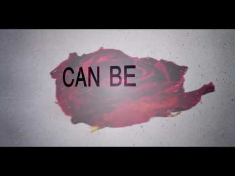 The Color Morale - Walls Lyric Video
