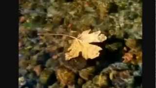Video thumbnail of "Eric Clapton-Autumn Leaves-HD"