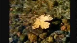 Eric Clapton-Autumn Leaves-HD