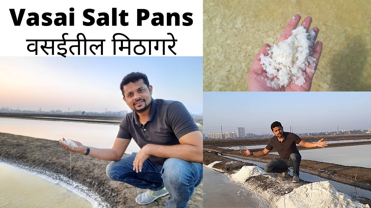 वसईतील मिठागरे - एक माहितीपट | A documentary on Vasai Salt Pans