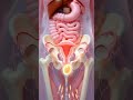 What Happens Right After Birth?