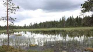 Video thumbnail of "Hiljainen on laulu rakkauden by Pekka Pennanen (Severi) 2009"