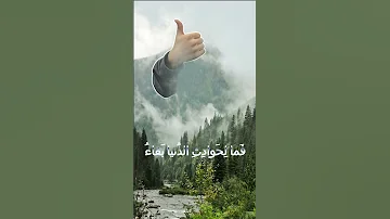 د ع الأ ي ام ت فع ل ما ت شاء من روائع الامام الشافعي شعر عربي شعر الشافعي الشعر الجاهلي 