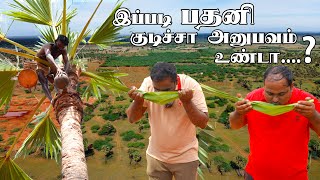 இப்படி பதனி குடிச்சா அனுபவம் உண்டா...? | WFT Vlog